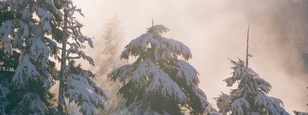 Foto di copertina