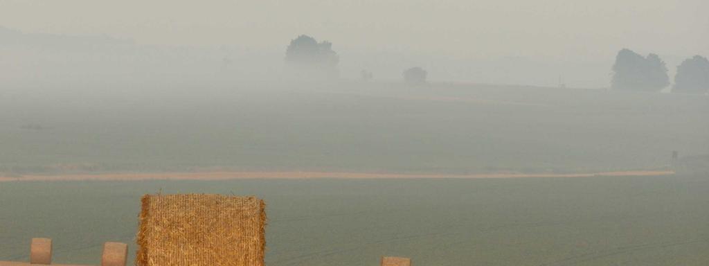 Foto di copertina